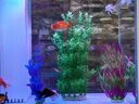 异景园鱼缸水族箱装饰仿真水草水族造景套餐假水草装饰塑料高款大水草绿 CH03-W吴淞草 实拍图