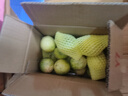 果迎鲜黄金百香果 新鲜水果 钦蜜9号 热带西番莲 鸡蛋果酸甜爽 20个装 实拍图