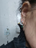 海盗船（pirateship）耳环 女高级轻奢小众设计感耳坠耳圈男耳钉潮 单只 绿色PEG0206 实拍图