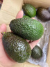 山姆大叔 金奖·哈斯牛油果云南孟连【闪送】当季鳄梨非即食新鲜水果礼盒 尝鲜果丨约80-100g 6枚【20%选择-较划算】普装 实拍图