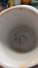 打蛋器电动奶泡器咖啡搅拌棒家用手持搅奶棒无线打泡器小型起泡器 基础款-双簧+三档位【浅绿】 实拍图