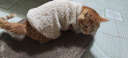猫咪衣服保暖羊羔毛马甲背心秋冬款泰迪博美宠物冬装可爱韩版衣服 羊羔绒马甲-杏色 XL码（约10-11斤） 实拍图