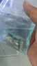 森悠（SARYOR）孔雀鱼纯种观赏鱼小型淡水好养热带鱼活体斑马金鱼凤尾鱼繁殖 孔雀鱼套餐3 实拍图