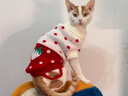 派乐特猫咪衣服保暖秋季比熊泰迪博美小型犬条纹宠物秋冬装10号 实拍图