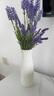 匠心绽放薰衣草仿真花高级客厅装饰家居饰品桌面高档摆件1束12叉含瓶20006 实拍图