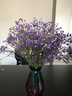 爱满（AIMAN）满天星天然干花花束ins网红生日 新房装饰摆件风干真插花家居摆设 紫色满天星  【带M款花瓶】 实拍图