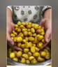 智汇 板栗开口器 304不锈钢剥板栗神器板栗开壳器板栗夹子十字划口刀多功能开核桃夹栗子开口器工具 板栗开口器 实拍图