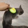 宠物狗狗梳毛专用去浮毛神器柯基比熊柴犬毛发清理用品猫毛狗毛梳 浅绿色 实拍图