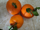 泰汇吃四川爱媛38号果冻橙 新鲜当季水果柑橘桔子时令 9斤（85-90MM）钻石级果王净8.5 实拍图