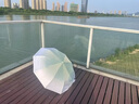 【渐变伞】晴雨两用加大号加固折叠遮阳伞紫外线男女太阳伞全自动 便携伞支架（一个装） 全自动 实拍图
