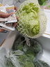 绿食者 沙拉蔬菜组合3.5斤 新鲜苦菊绿叶红叶生菜西餐沙拉健康轻食蔬菜 蔬菜沙拉组合3.5斤【有沙拉酱】 实拍图