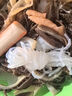 云山半0脂肪魔芋粉丝即食魔芋面条番茄面桶装284g方便速食代餐夜宵米粉 实拍图