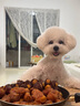 小熊（Bear）干果机 冻干机 食物烘干食品风干机金属内腔家用宠物肉干水果干番薯零食5层10升大容量 恒温循环柔热风 GGJ-P03Q5 实拍图