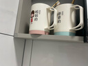 净安美亲子刷牙杯一家三口漱口杯家用牙刷杯套装洗漱杯牙具杯儿童家庭装 四口之家【爸+妈+弟+姐】 实拍图