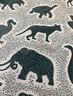 地球上最孤单的动物：43种濒危动物插画集 实拍图