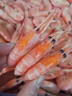 尚致北极甜虾头腹籽熟冻带籽甜虾进口解冻即食元宝虾生鲜虾类礼盒 90-120【头籽礼盒】 4斤(净重) 实拍图