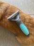 宠物狗狗梳毛专用去浮毛神器柯基比熊柴犬毛发清理用品猫毛狗毛梳 蓝灰祛毛梳+绿色按摩梳 热销组合 实拍图