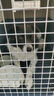 华元宠具（hoopet）宠物航空箱狗狗飞机托运箱猫咪外出猫包小型犬国航车载狗笼大型犬 国航款4号81*56*64cm (铁窗+轮) 实拍图