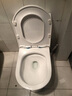 东鹏（DONGPENG）官方马桶家用坐便器大冲力漩涡虹吸式轻音节水防臭抽水普通马桶 【W6561】59cm小户型 实拍图