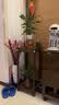 陶梦居花架置物架阳台多层落地式家用客厅新中式花台绿萝非实木花盆架子 实拍图