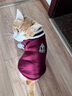 憨憨乐园宠物狗狗衣服猫咪衣服猫衣服泰迪比熊小狗小中型犬冬天保暖衣服L 实拍图