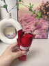 皓梵洁手捧花迷你花束口袋花束玫瑰小花束干花假花永生花礼物鲜花小花 口袋里的浪漫【红玫瑰一束】 实拍图