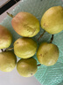 锁季新疆库尔勒香梨现摘新鲜水果脆甜香妃全母梨孕妇水果春节礼盒送礼 净重8斤商超大果 单果120g+ 实拍图