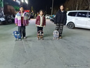 迈卡龙S7陆地冲浪板初学者滑板成人儿童专业刷街代步免蹬地陆冲板大鱼板 S7-30寸牙买加 实拍图