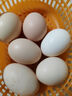 神农游  新鲜农家谷物散养鸡蛋50g 30枚 实拍图