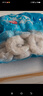 东上御品 翡翠青虾仁 鲜虾活剥虾类 去壳去虾线 虾仁生鲜 超大虾仁【31-35规格】 2斤(净重) 实拍图