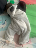 巴拉巴拉童装婴儿连体衣秋冬宝宝外出抱衣哈衣爬服珊瑚绒男童女童婴童衣服 奶白10501 80cm 实拍图