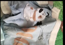 莫代尔儿童内裤男童夏季薄款冰丝网眼平角短裤大童发育期男孩宝宝奥特曼 小奥特曼（莫代尔） 4条 140 (2XL) 推荐体重51-70斤 实拍图