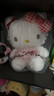 Hello Kitty三丽鸥毛绒玩具猫咪玩偶摆件布娃娃抱枕生日礼物女生 凯蒂猫公仔 实拍图