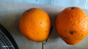生活＆好管家 四川春见耙耙柑爆浆大果新鲜水果礼盒应季橘子现摘柑橘子桔子 3斤【尝鲜装】净重3斤 果径90mm+【果王】 实拍图