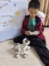 柏德士智能机器狗儿童早教益智玩具1一3岁男女宝宝机器狗小孩子生日礼物 智能机器狗--香槟金 实拍图
