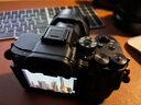 索尼（SONY） ILCE-7RM5 全画幅微单数码相机 双影像画质旗舰 （ILCE-7RM5/A7R5/A7RM5）打鸟 单机 官方标配 实拍图