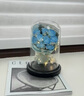 宜品达永生花仿真玫瑰花永不凋谢满天星干花束送老师女生日礼物520摆件 碎冰蓝玫瑰7朵+灯串 亚克力罩+手提礼盒 实拍图
