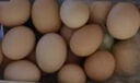 故乡食召 鸡蛋 散养谷物蛋 农家喂养 初生鲜鸡蛋 8枚（总体约320g） 实拍图
