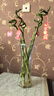 呈爱透明玻璃花瓶简约加高贵竹百合水培绿萝植物富花瓶客厅插花摆件 加高30cm六角（郁金香图案） 高30厘米 实拍图