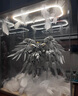 白雪姬高达拼装模型MB强袭自由MG菲尼克斯独角兽手办机甲玩具 [高度38cm]MG 白雪姬+背包翅膀 实拍图