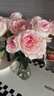 芊芊细语斗南基地直批发玫瑰鲜花全国速递配送女友礼物家用水养插花家庭 洛神玫瑰18支+2支防损 实拍图