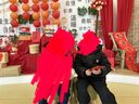 雪中飞儿童羽绒服2024新款加厚儿童外套男童女童中大童冬季面包羽绒服 黑色 110 cm 实拍图