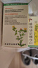 [五福]心脑清软胶囊 0.415g*100粒 5盒装 实拍图