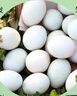 豫宛农夫农家散养生鸭蛋 鲜土鸭蛋  新鲜发货 40枚装 单枚60-70g 实拍图