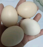 芮瑞 农家正宗土鸡蛋山林散养草鸡蛋 现发柴鸡蛋 40±5g/枚 土鸡蛋4枚 实拍图