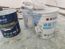 嘉宝莉（CARPOLY）墙面抗碱底漆乳胶漆净味内墙油漆涂料基材防潮防锈点水性墙面漆 20kg白色【防霉抗碱】墙面卫士 实拍图