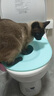 第二代(V2.0)猫训练厕所拉粑粑猫咪重复使用训练器厕所猫猫 新版V2.0蓝色（损坏包赔） pp环保材料 实拍图
