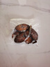 小熊（Bear）真空封口机家用抽真空包装机食品包装袋带切割刀保鲜塑封机小型全自动干湿两用大吸力腊肉打包机 真空包装卷袋17*500CM 实拍图