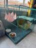 憨憨宠猫笼折叠猫笼子大号猫别墅加粗加密双层猫舍猫窝宠物猫咪用品家用 蓝色 850双层 实拍图