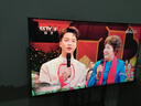 飞利浦（PHILIPS）55英寸4K显示器 电脑商用办公大屏 工业级安防监视器显示屏 无广告无网络开机直达多接口1210Q 实拍图